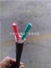 天津市电缆总厂橡塑电缆厂其他电缆产品展示 品质与创新的典范